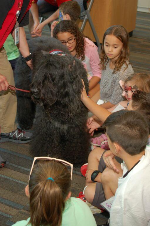 Heart-to-Heart Day 2016 - image 142